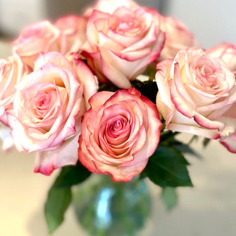 Meet your Posher, Jeanie